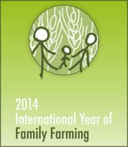 2014 IYFF