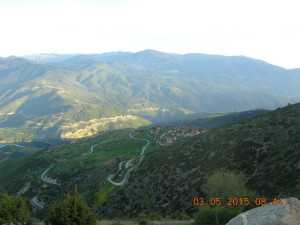DSCN8439