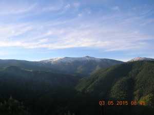 DSCN8442