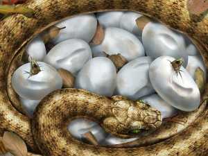 snake1
