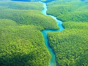 amazonios