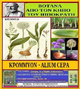 kremmydia