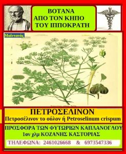 petroselino