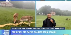tentsoglidhs-parko-elafion