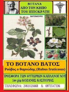 batos
