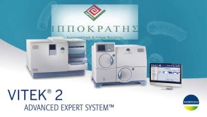 ippokraths