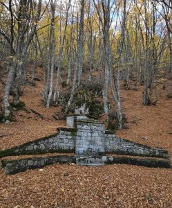 Ποίηση και μνήμη στο Πανόραμα Γρεβενών – Ο Ελευθέριος Τζιόλας και το ποίημα “Απελπίστηκα κι ελπίζω” tziolas