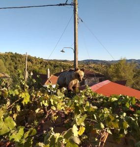 Με αφορμή τα ΕΛΤΑ… Η Δυτική Μακεδονία θυμώνει με την εγκατάλειψη erhma xoria