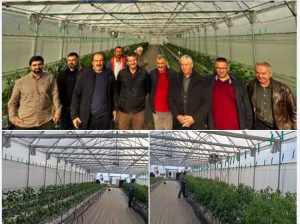 geouermika-uermokhpia-