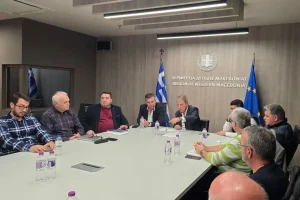 synanthsh-ardeytiko-polyfytoy-4