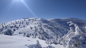 594044773_25231608903158663_3472755731290130348_n