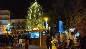 Φωταγώγηση του Χριστουγεννιάτικου Δέντρου στο Τσοτύλι! Tsot;yli