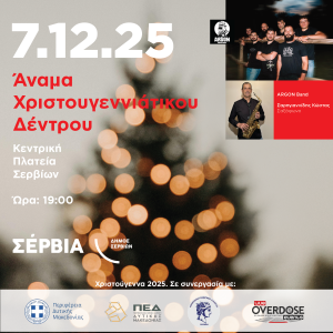 XMAS TREE SERVIA 25-01