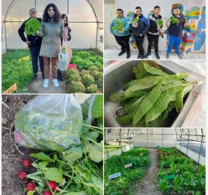 Θερμοκήπιο του Ειδικού Γυμνασίου – Λυκείου Άνω Κώμης (έως 21/11/2025) eniaio