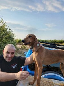 Νέα επίθεση λύκου στην Κοζάνη: Άρπαξε τη Λίντα μπροστά στα μάτια τους. Χάθηκε μέσα σε δευτερόλεπτα το κυνηγόσκυλο που μεγάλωσε ως μέλος της οικογένειας skylos1-600×800