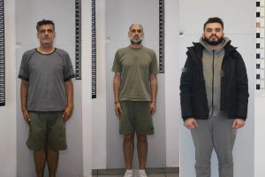 apateones
