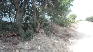 aianh2